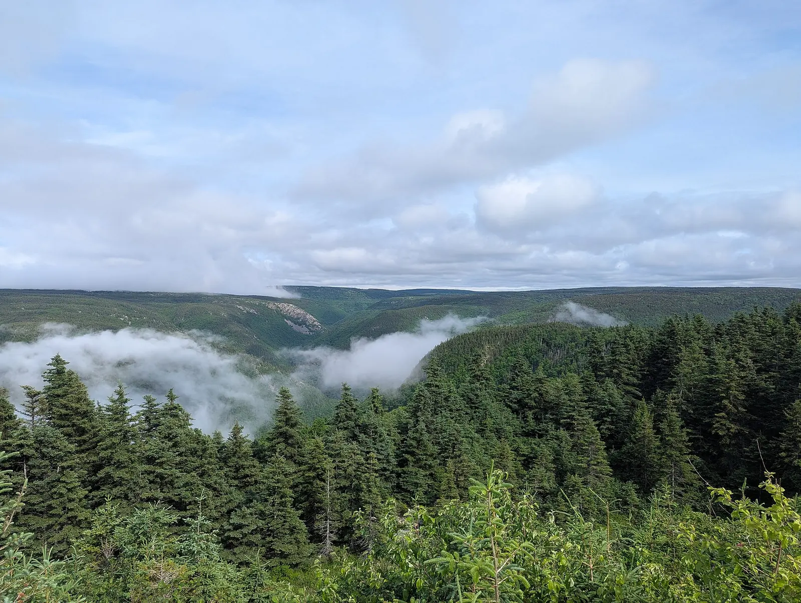 Cape Breton Highlands National Park seen from the Cabot Trail